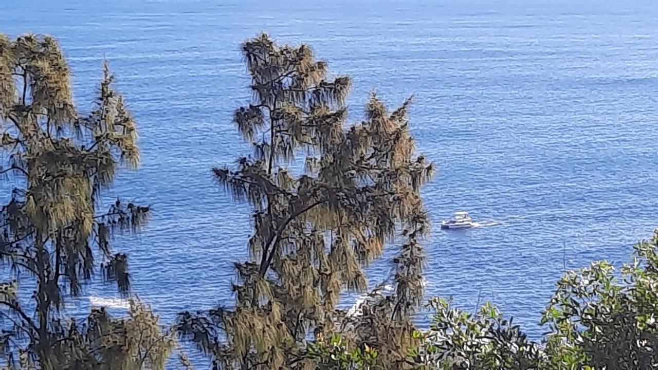 Chambre Vue Sur Mer Entre Grande Anse Et Manapany Petite Île Εξωτερικό φωτογραφία